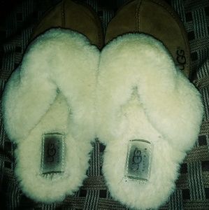 Uggs slippers
